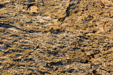 Background of stone wall texture