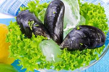 Moule