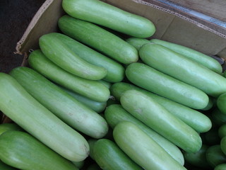 cucumbers in a cardboard box on the market