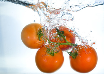 tomate dans l& 39 eau
