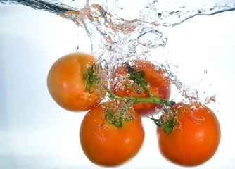 Zelfklevend Fotobehang tomaat in water © Yaroslav Pavlov