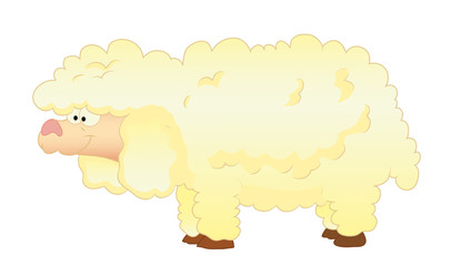 sheep