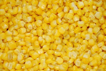 texture di mais
