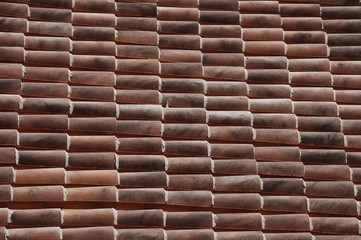 tegole macchiate dallo smog 2