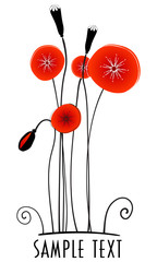 Beautiful poppies background illustration