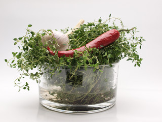 Knoblauch Paprika und Thymian