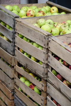 &Auml;pfel