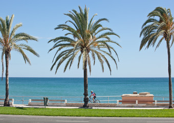 Pista ciclabile di Palma de Mallorca