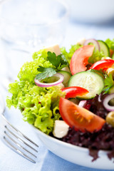 Greek Salad with pepper stuffed olives