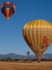 Obraz premium Hot Air Ballons