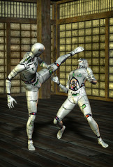 martial arts robot kung fu - 35420614