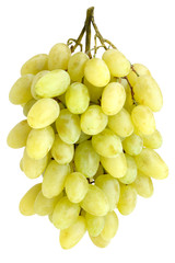 Bunch of grapes isolated on white background