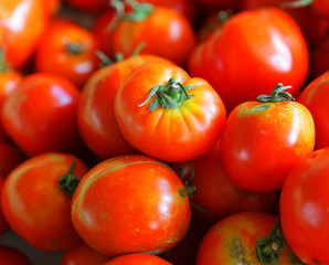 tomatoes arranged at market