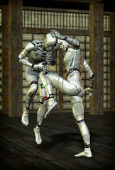 martial arts robot kung fu