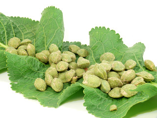 Wasabi