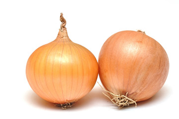 Ripe onions