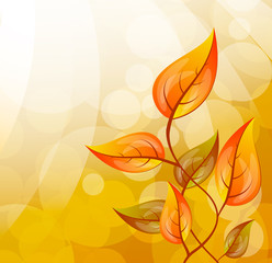 Fototapeta premium Background with leaves