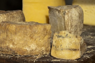 Mature yellow sheep cheese