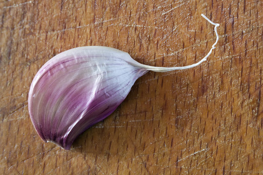 violet garlic