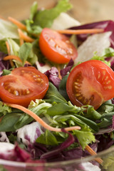 Obraz na płótnie Canvas Fresh salad with tomatoes