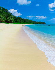 Tranquility Shore Summertime