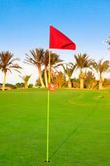 Let’s Go To The Next Tee