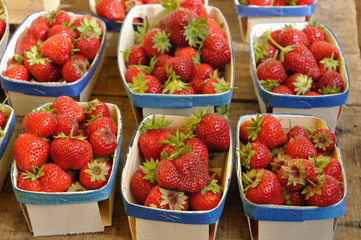 barquettes de fraises 2