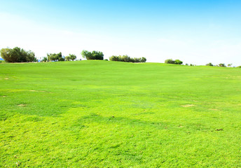 Golf Landscape Under Sun