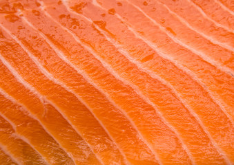 Salmon fillet