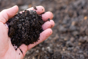 Handful of soil