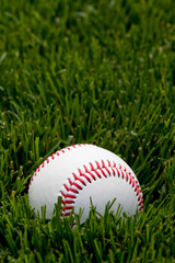 Baseball in field