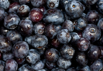 Blueberries background