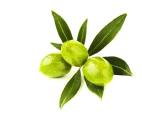 Crédence de cuisine en verre imprimé Olivier Branche d& 39 olives vertes fraîches