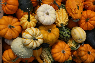 Pumpkins