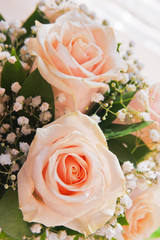 Close-up of the rosebud