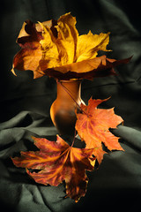 Still life with autumn leaves