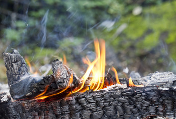 Piece of wood burning on bonfire