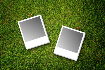 Vintage photo frame on the grass texture background.