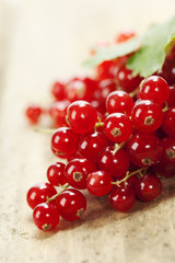 ripe red currant berries