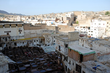Fez