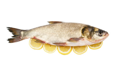 Silver carp fish with lemon isolated on white