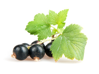 blackcurrant