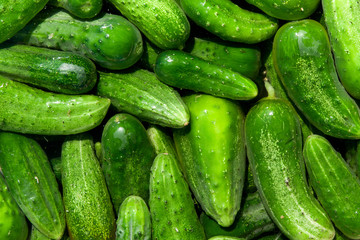 cucumbers