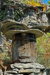 Fototapeta premium Ruche