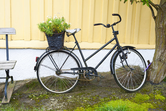 Decorative background with Scandinavian bicycle