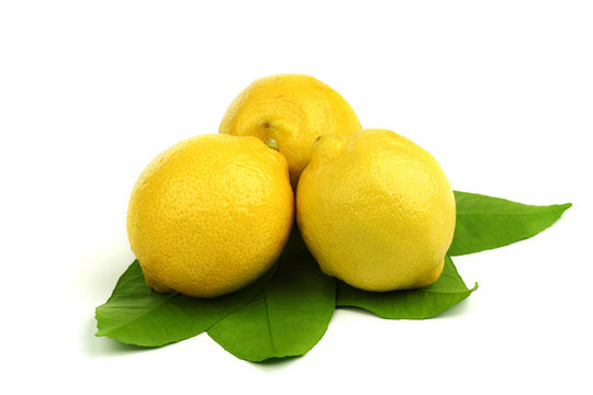 lemons on white
