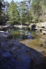 Piscine naturelle en forêt d'Aïtone, Corse 15