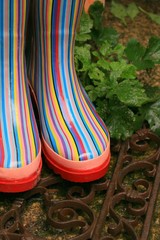 bunte Gummistiefel im Regen