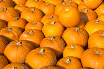 Pumpkins