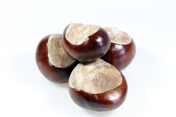 Kastanien